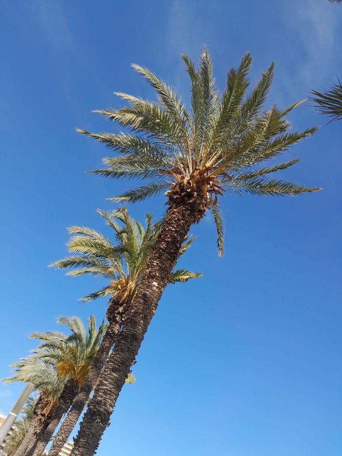 شقة Stylowy Apartament Harmonia Playa Del Cura, Hiszpania تورّيفيِخا المظهر الخارجي الصورة