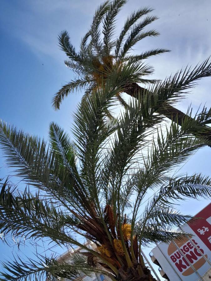 شقة Stylowy Apartament Harmonia Playa Del Cura, Hiszpania تورّيفيِخا المظهر الخارجي الصورة
