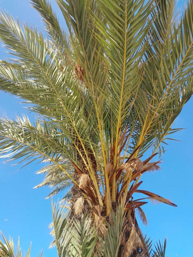 شقة Stylowy Apartament Harmonia Playa Del Cura, Hiszpania تورّيفيِخا المظهر الخارجي الصورة